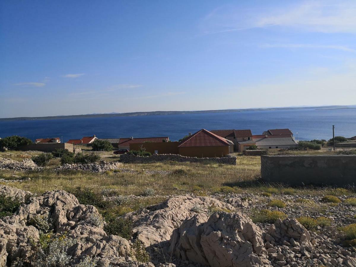 Apartman Marta